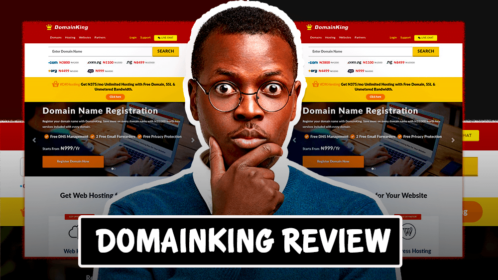 Domainking Review