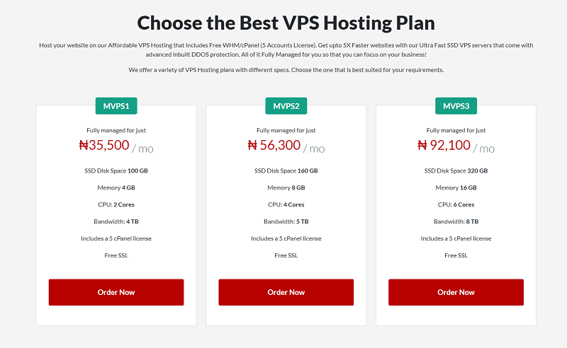 Domainking VPS Hosting